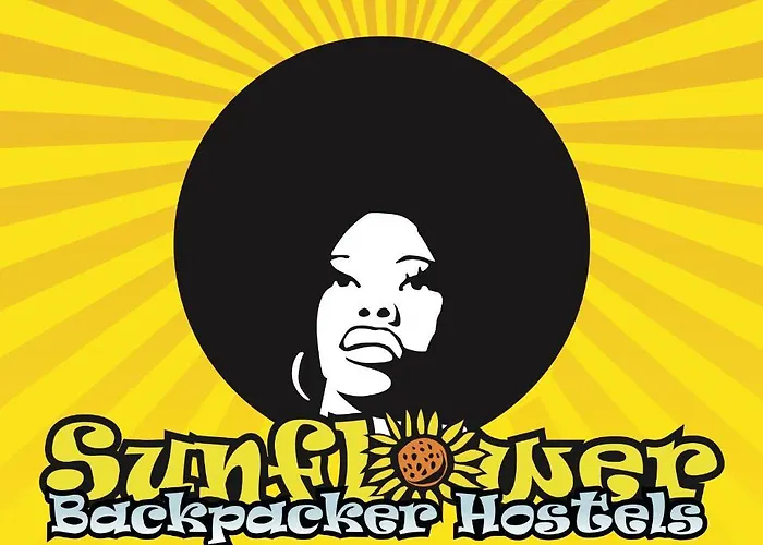 Sunflower City Student Hostel & Bar